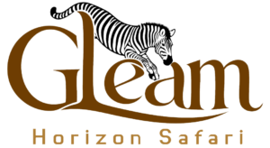 Gleam Horizon Safari