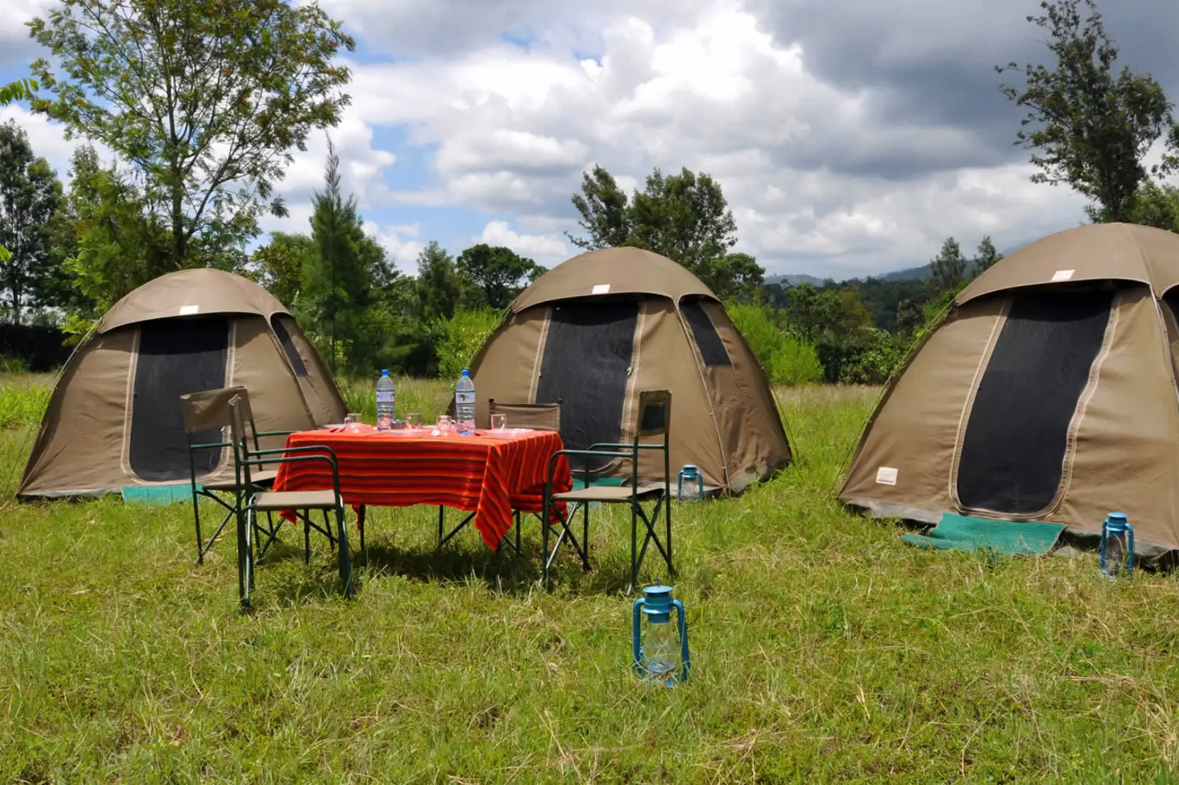 Budget Tanzania Safaris