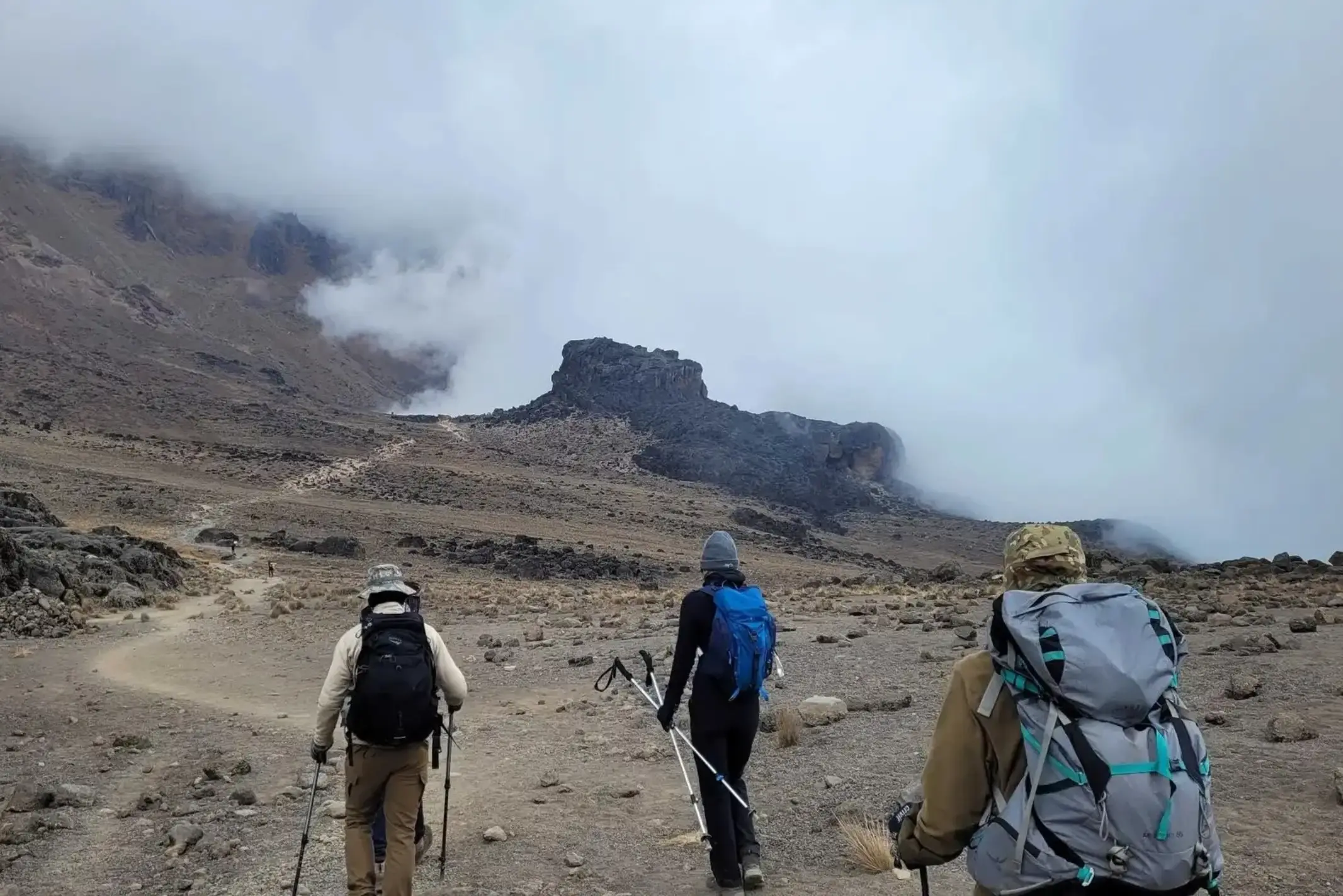 5 Days Kilimanjaro Machame