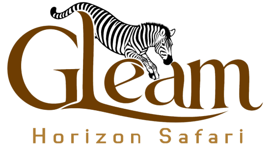 Gleam Horizon Safari
