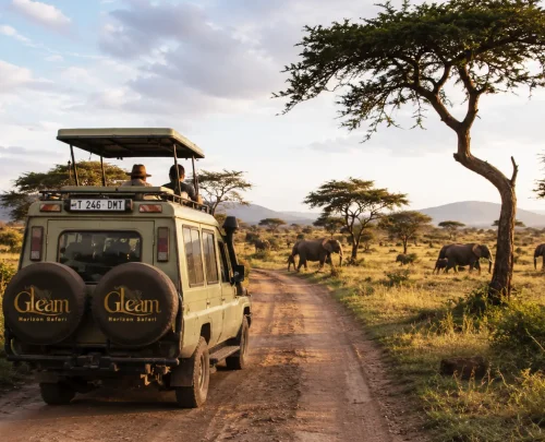 How to Choose a Tanzania Safari Company. (1)