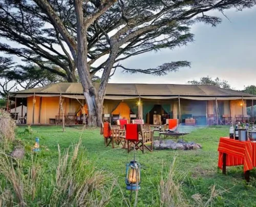 Ngorongoro Crater Accommodation Guide.