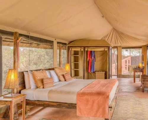 Tarangire Camping Guide.